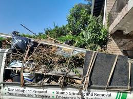 Best Commercial Junk Removal  in Stanley, ND